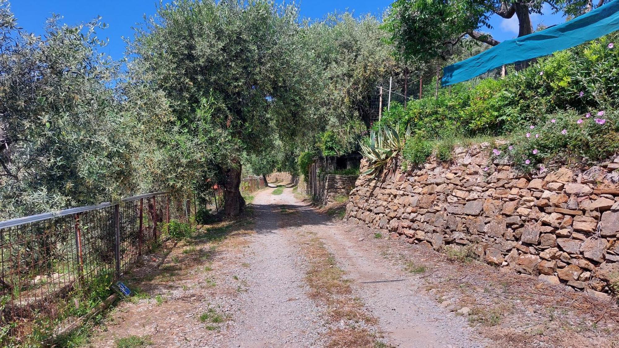 Il Nido Del Viaggiatore Vallebona エクステリア 写真