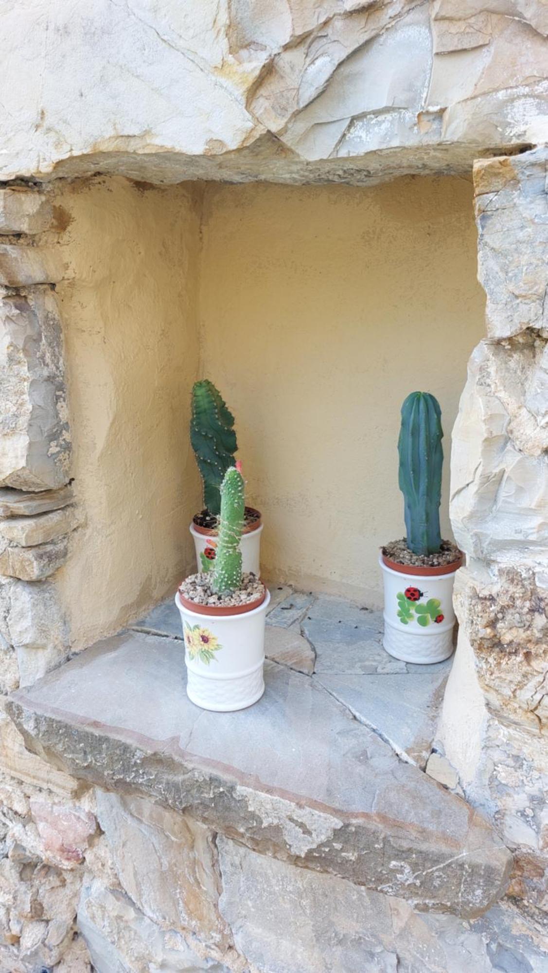 Il Nido Del Viaggiatore Vallebona エクステリア 写真