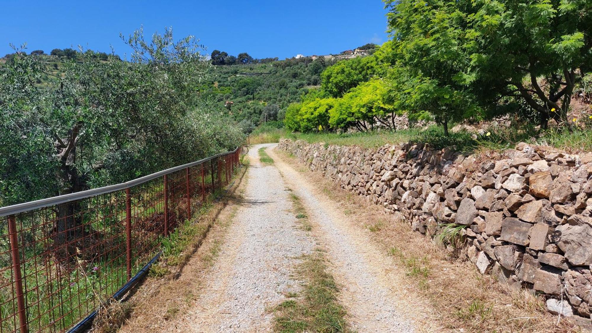 Il Nido Del Viaggiatore Vallebona エクステリア 写真
